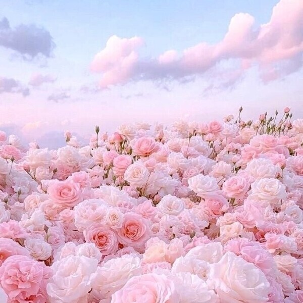 💐