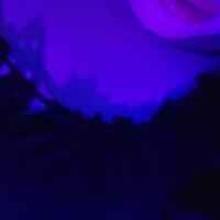 藤田