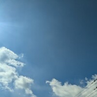 星野