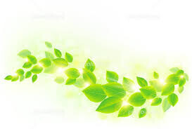 🍃出勤しました🍃