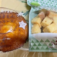 本日夕方から🤗