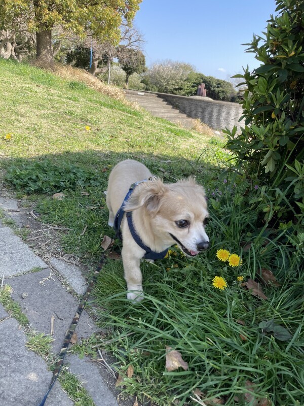 歩き中🫠 ☀️