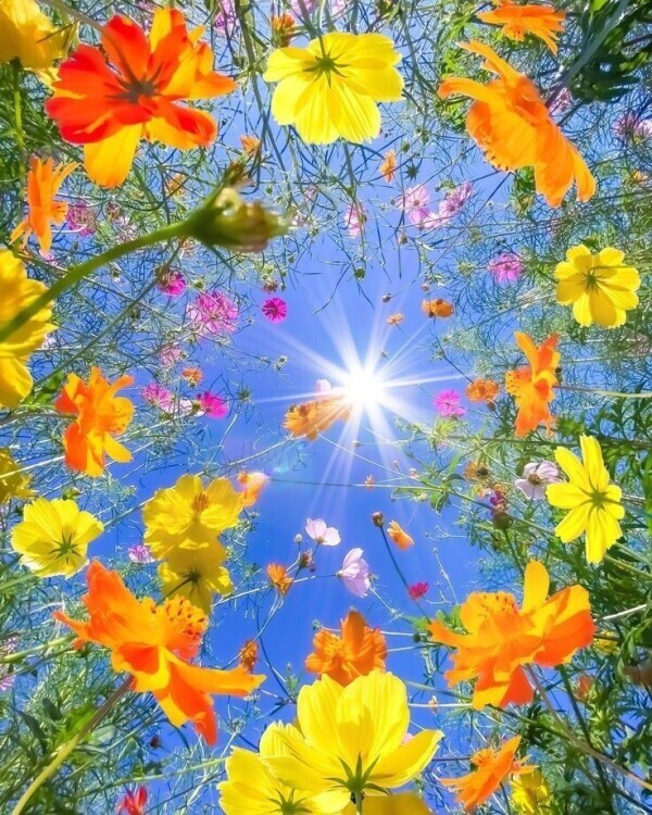 暑い☀️