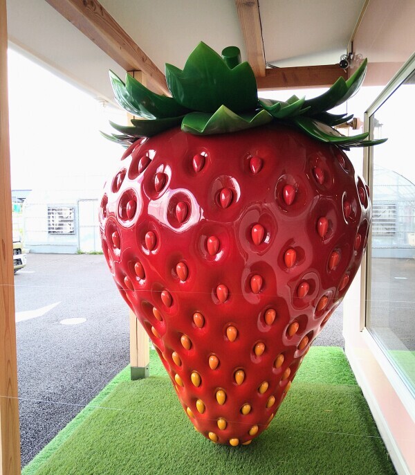 おっきい🍓