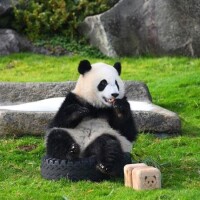 🍀おはようございます🍀