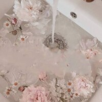 ⭐️♡
