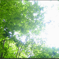 三木