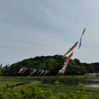 🎏おはようございます🎏