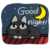 おやすみなさい🌙