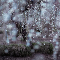 おはようございます☂️