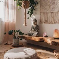✨🪷癒やされる一時を🪷✨