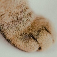 お待ちしてます🐾
