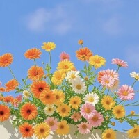 💐