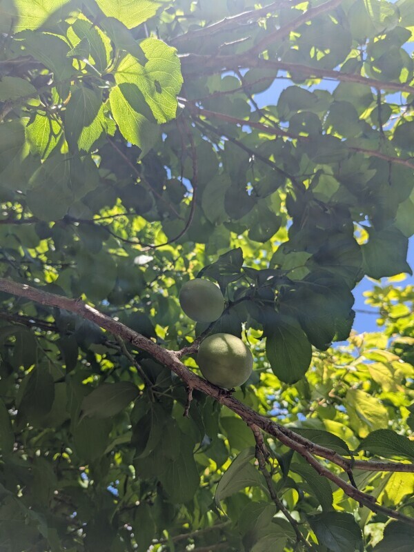 いいお天気☀
