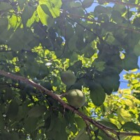 いいお天気☀