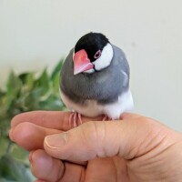 そして…