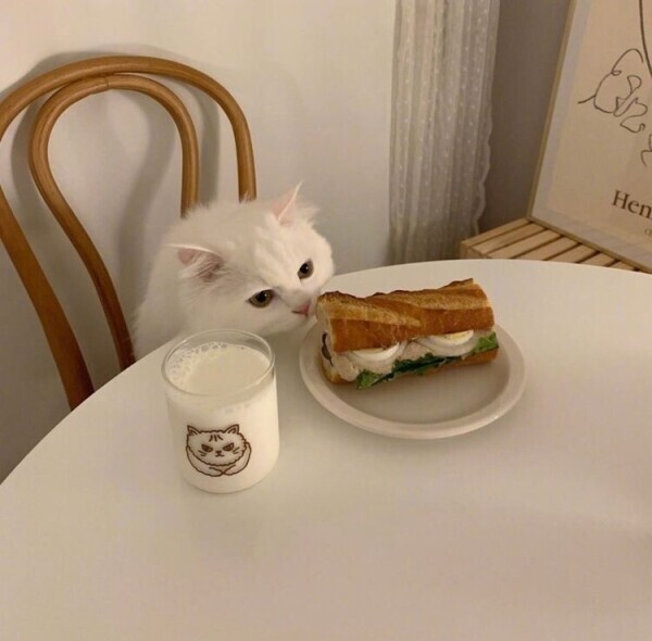 出勤しました☺︎