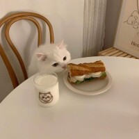 出勤しました☺︎