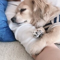 明日夕方から🤗
