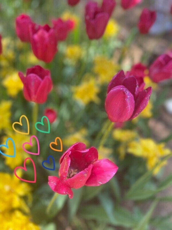 出勤です🌈