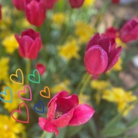 出勤です🌈