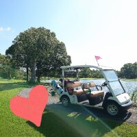 ✨🪷癒やされる一時を🪷✨