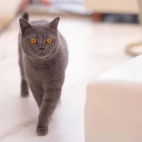 お待ちしております🐾