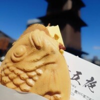 ✨🪷出勤予定🪷✨