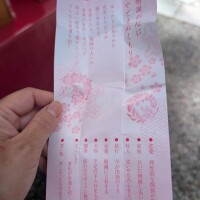 おみくじは大吉でした🙌
