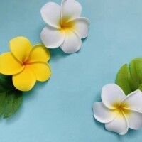 ありがとうございます😊