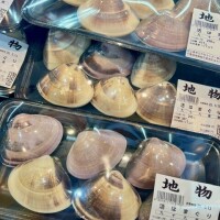 母の日のハマグリ🌊