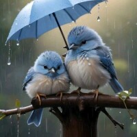 お疲れ様でした☂️