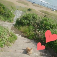 ✨🪷これから出勤します🪷✨