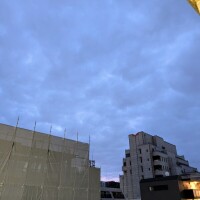 うっすら…