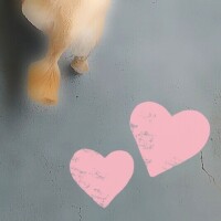 ✨🪷サマーカット🪷✨