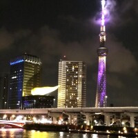 今夜のライトカラーは「雅」✨