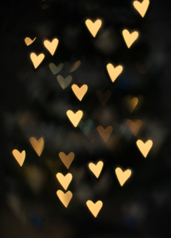 受付終了です♡