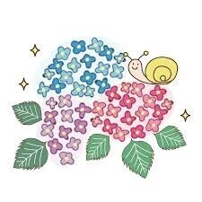 🫧おはようございます🫧