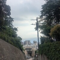 星野
