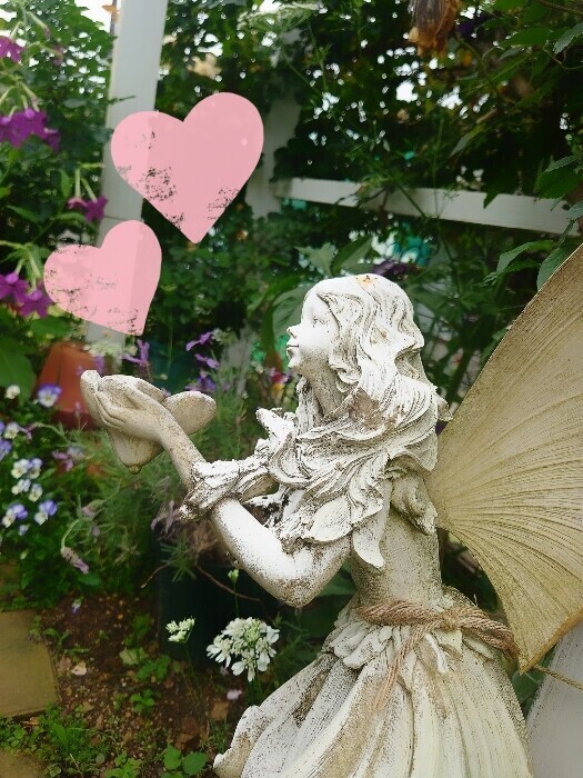 ✨🪷帰省していました🪷✨