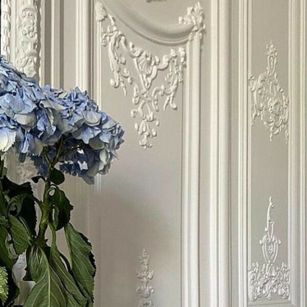 image0.jpeg