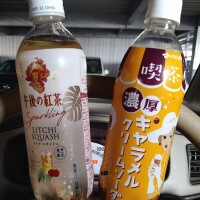 森本