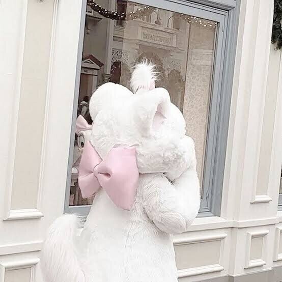 ❤︎