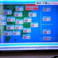 今年初の…