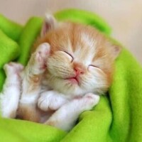 こんにちは