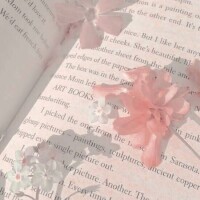 ❤︎