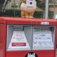 念願✨