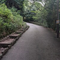 土田