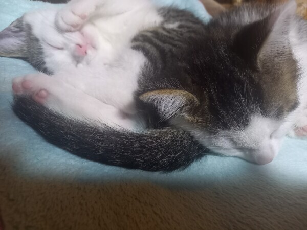 おやすみなさい😴