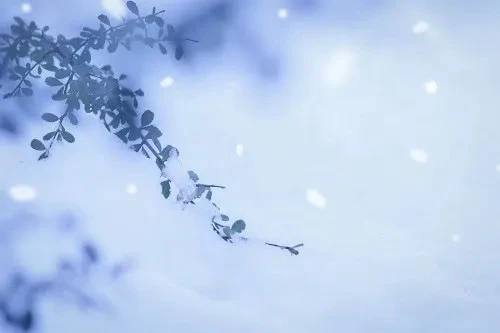 すずし〜❄️